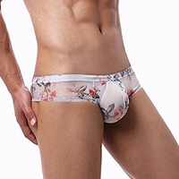 카멜 시스루 남성팬티