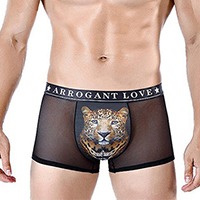 타이거 시스루 팬티