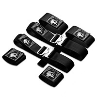 의자 구속 스트랩 세트