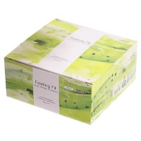 필링 핏 알로에 아로마 50p